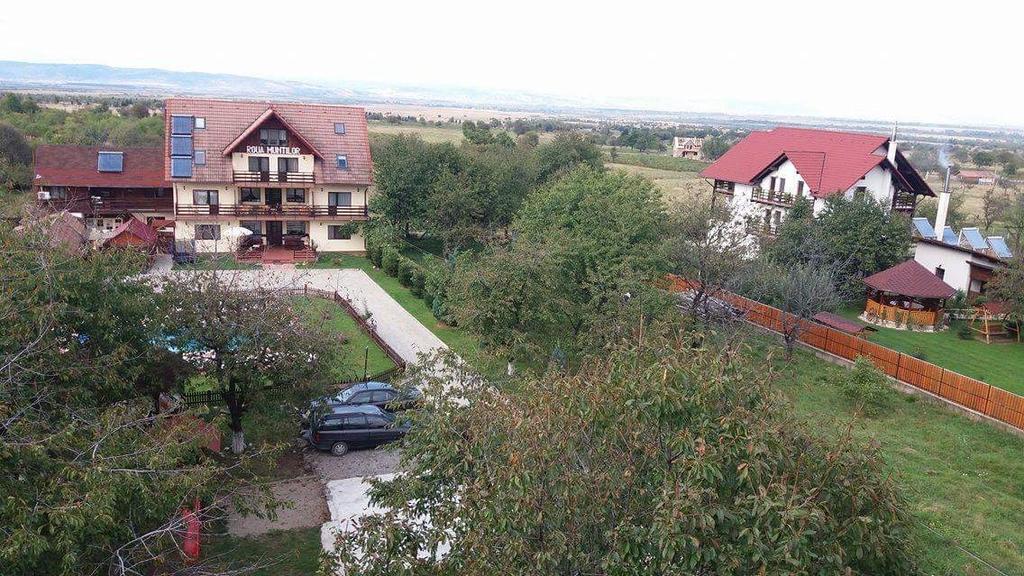 Pensiunea Roua Muntilor Simbata de Sus Luaran gambar